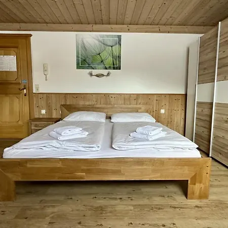 Lejlighed Living Saalbach-Hinterglemm