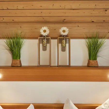 Living Lejlighed Saalbach-Hinterglemm