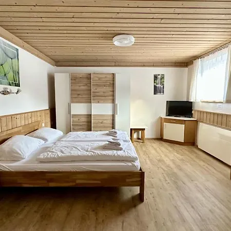 Appartements Living Saalbach Apartment