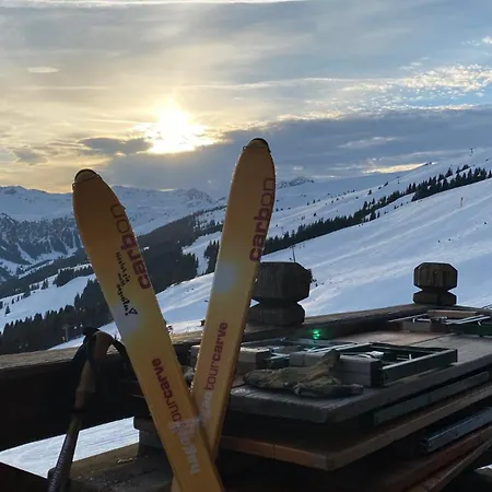 Appartements Living Saalbach *