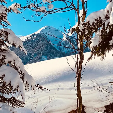 Appartements Living Saalbach *